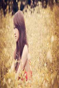 青青陌上桑嬴信沈苏然全章节小说