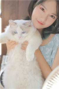 小说桃色仕途(陈斌高婉君)