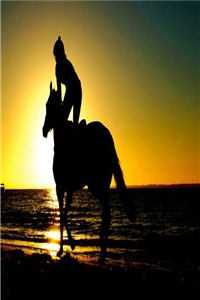 徐宁妍徐舟野的小说爱意忽已暮小说阅读