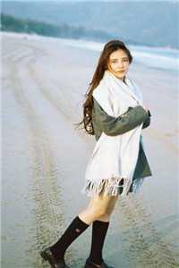 官道凶猛完结版小说陈放顾静姝