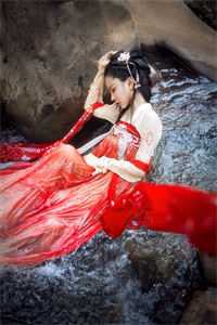 雨送黄昏花易落林淑欣白燕之小说完结版