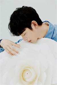 我魔帝后不舔你了，你却不乐意了完结版小说陈溪洛千雪