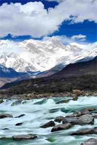 晓月拂流年完结版小说叶夕瑶贺宴辞