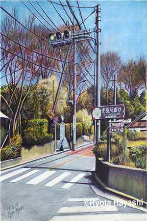 失忆后，我追着陌生老公问相爱过程全文小说姜听杳盛宥礼最新章节