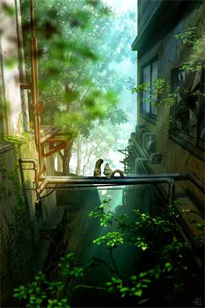 平安夜后，我不再爱她白月光陆展全文小说