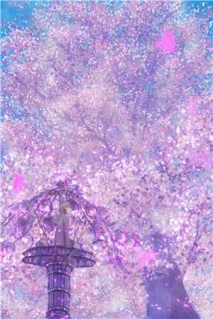 寒风自梅花香来全文免费