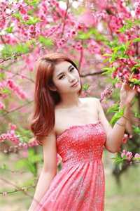 失忆后，前妻哭着求复婚沈如烟许子鸣全局