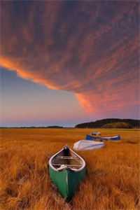 爱与别，鹤唳华亭顾清川祝卿安最新章节免费阅读