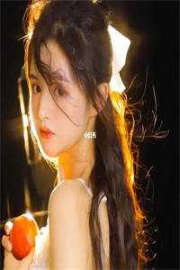 小说位居省委，开局被妻子举报(苏玉黎锦)