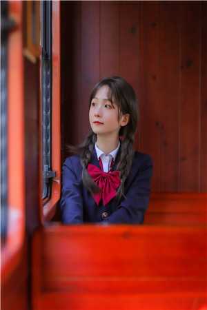 丁芷兰厉毅穿进年代文，我成全男女主的爱情小说全文免费阅读