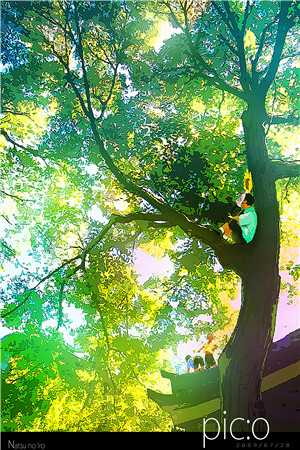 禁苑春归晚绝情全文萧晔楚怀玉