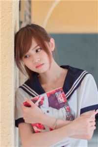 顾西辞许昭爱意藏风里，风过爱无痕小说全文免费阅读