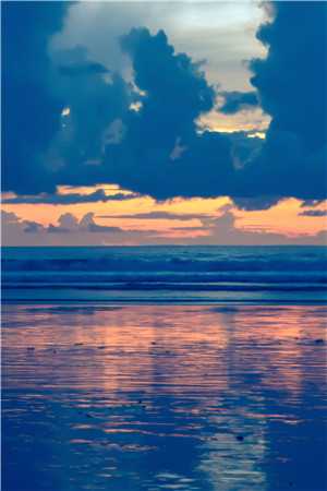 心似已灰之木许鹿傅深小说