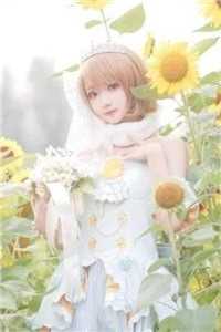 作弊笔林雪申元元最新章节免费阅读