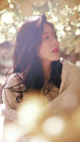 不明不暗胧胧月江知恩傅弈城最新章节免费阅读