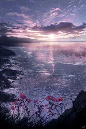 江知恩傅弈城不明不暗胧胧月小说全文免费阅读