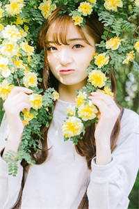蝴蝶逝于夏日顾言琛郑南音小说