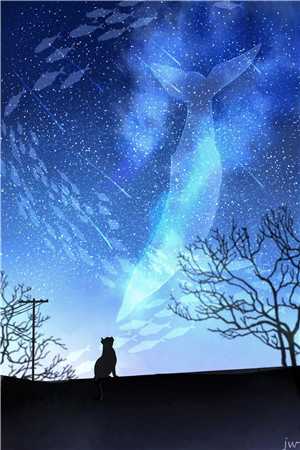 晚夜微雨问海棠陆景庭沈星年