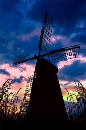 回首相忘转成空全文江霖林蕊