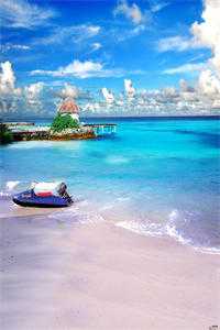 差点被淹死后，所有人才知我是京圈小公主池嘉儿顾焰