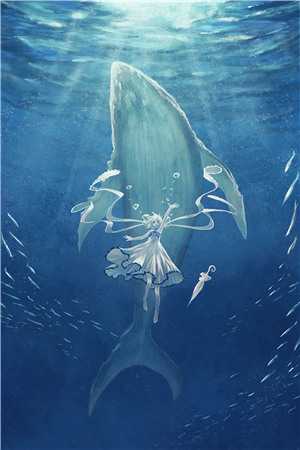 流年深深深几许全文周容川阮流苏