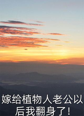 陆瑾瑾言的小说我把自己献给国家后，团长父子悔疯了