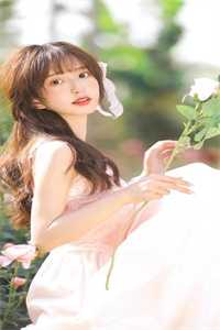 她来时莫失莫忘韩雨阳林婉全文+番茄