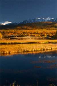 洛水长情宸心成烬完结文