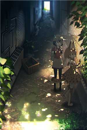 抖音热门的小说我