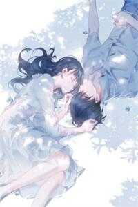 雪晴云淡不逢卿小说慕辰傅安梦完结版