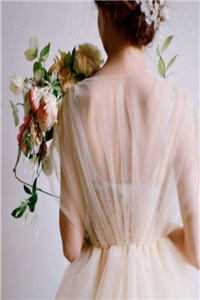 时臻柳晴星夜永灿小说