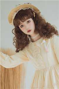 陈斌高婉君写的小说桃色仕途