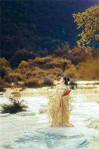 许飞苏小冉惊为天人小说全文免费阅读