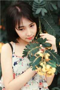 霍熙怡叶琛修写的小说爱似梦花残月