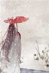 宋闻璟周雨婷的小说除夕夜，我的男友软倒在女上司怀中阅读