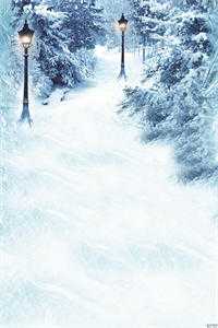 柳菁菁宁逸的小说爱如冬雪消融阅读