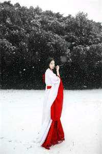 师弟黑化后，要对我强制爱全文闻浔徐无吟