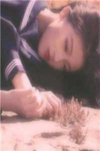 祸从口入小说全文免费阅读