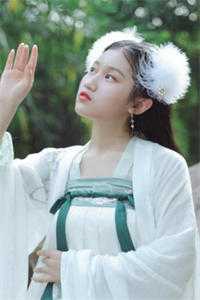 老婆想当女强人，离婚单干后她悔疯了小说全文免费阅读