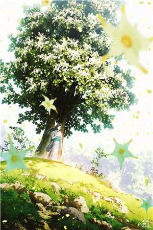 月落不再说爱你小说全文免费阅读