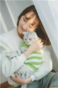 猛龙归来，美女请自重完结版小说杨凡吴雪兰