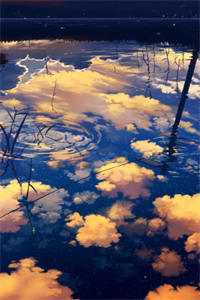 小说妻子丢下我妈后我甩掉丈母娘一家朱丽娟朱晓婷全章节免费阅读