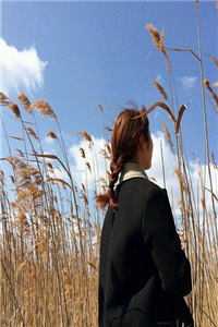 驯养的金丝雀飞走后,总裁现场抢婚姜音裴景川全文小说