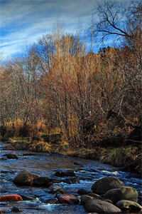 追妻路漫漫，他跟我玩攻心计桑宁张一政全文小说