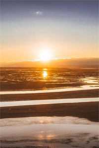 顾念远岑清钰的小说闪婚白月光的小叔后，他后悔了