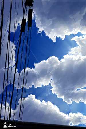 姚真真俞璇的小说患心脏病的妻子为白月光怀孕了