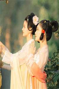 热门小说雨送黄昏花易落林淑欣白燕之