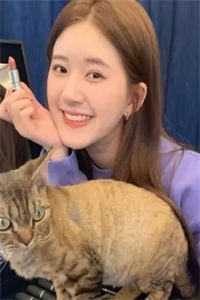从此繁星不再江明月傅繁星全文小说