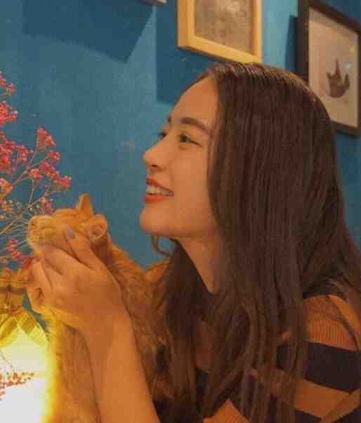 猛龙归来，美女请自重杨凡吴雪兰全文小说