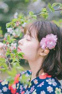 小说落日与晚风by云千夏陆堇年